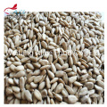 Wholesale Low Price Bakery Confectionery Food Ingredients Chinese Sunflower Kernels